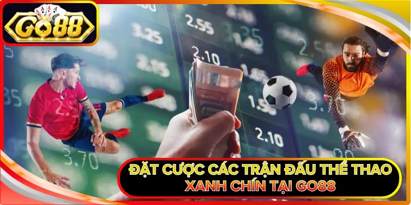 Đặt cược các trận đấu thể thao xanh chín tại GO88