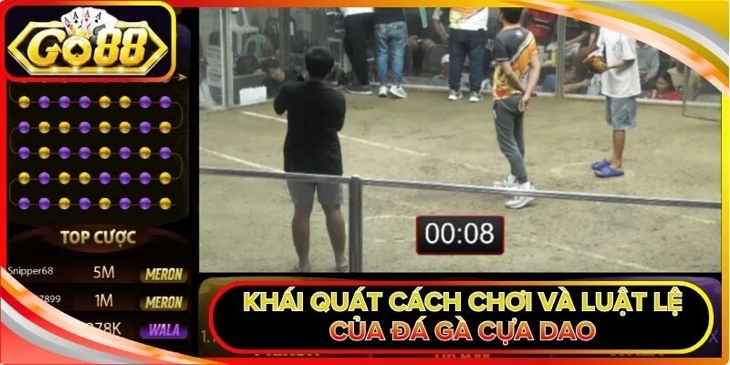 Khái quát cách chơi và luật lệ của đá gà cựa dao
